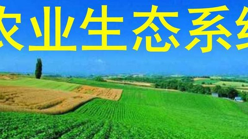 上海生鲜配送服务流程全解析