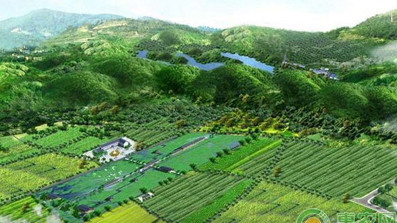农业合作社如何助力农户风险防控**
