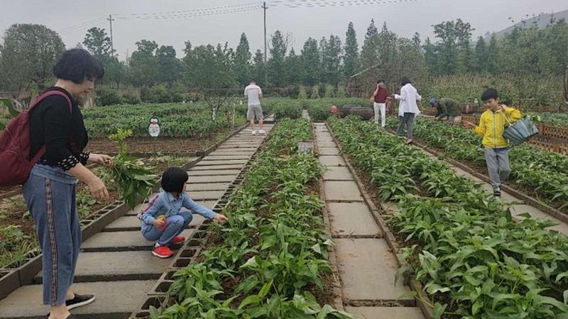 农产品批发税收优惠政策全解析