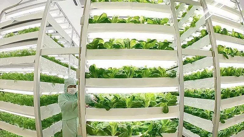 家庭农场补贴资金的申请流程一般包括以下几个步骤：