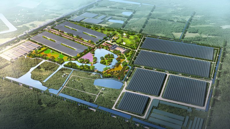 大疆农业植保无人机：不只是价格，更是科技与效率的融合**