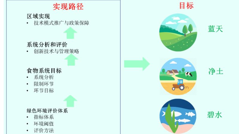 羊肉价格波动：揭秘今日行情背后的影响因素**