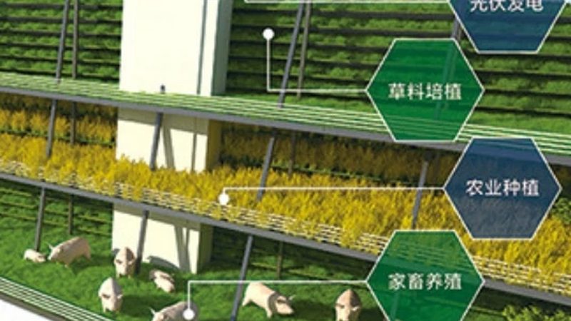 智慧农业解决方案：如何规避常见误区