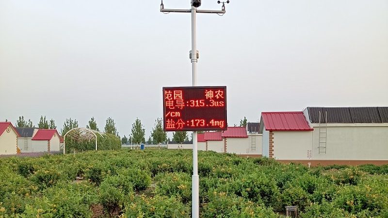 休闲农业：探索成功案例背后的奥秘