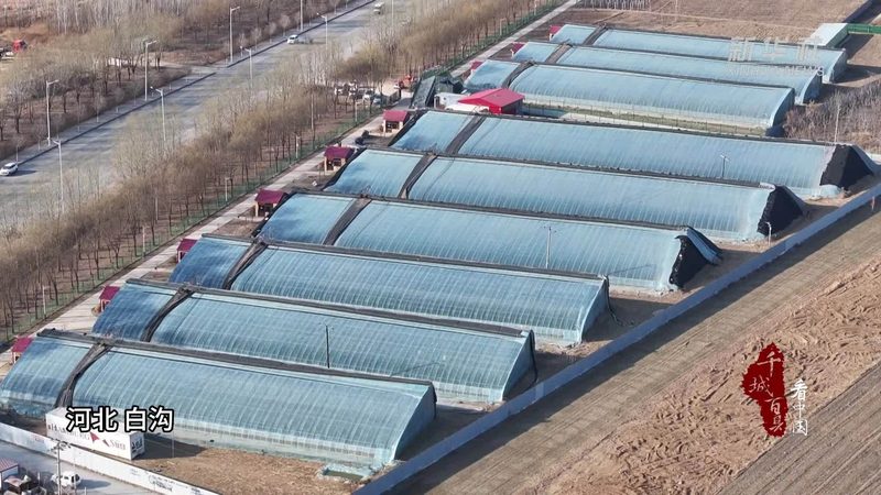 智慧农业种植系统：揭秘其规格型号与选型逻辑