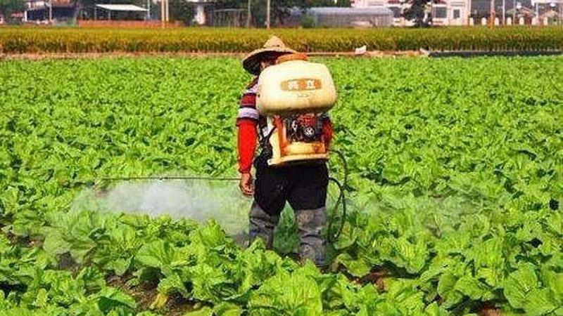 农资店门面装修：如何打造专业形象，提升顾客体验**