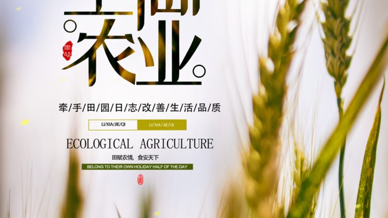 农业产业园代理区域限制：揭秘背后的逻辑与影响**